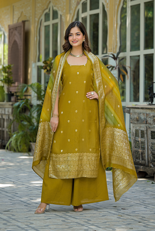 Tejas Organza suit set