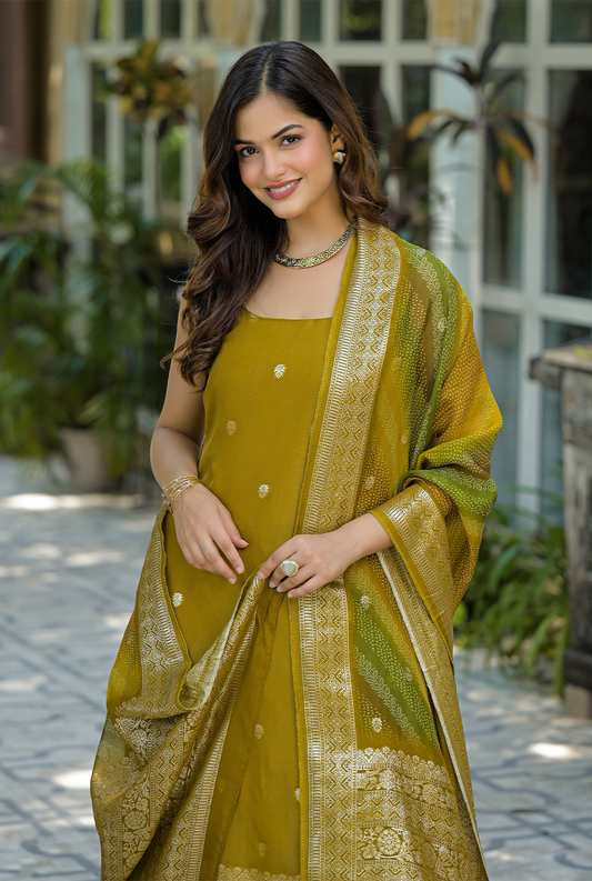 Tejas Organza suit set