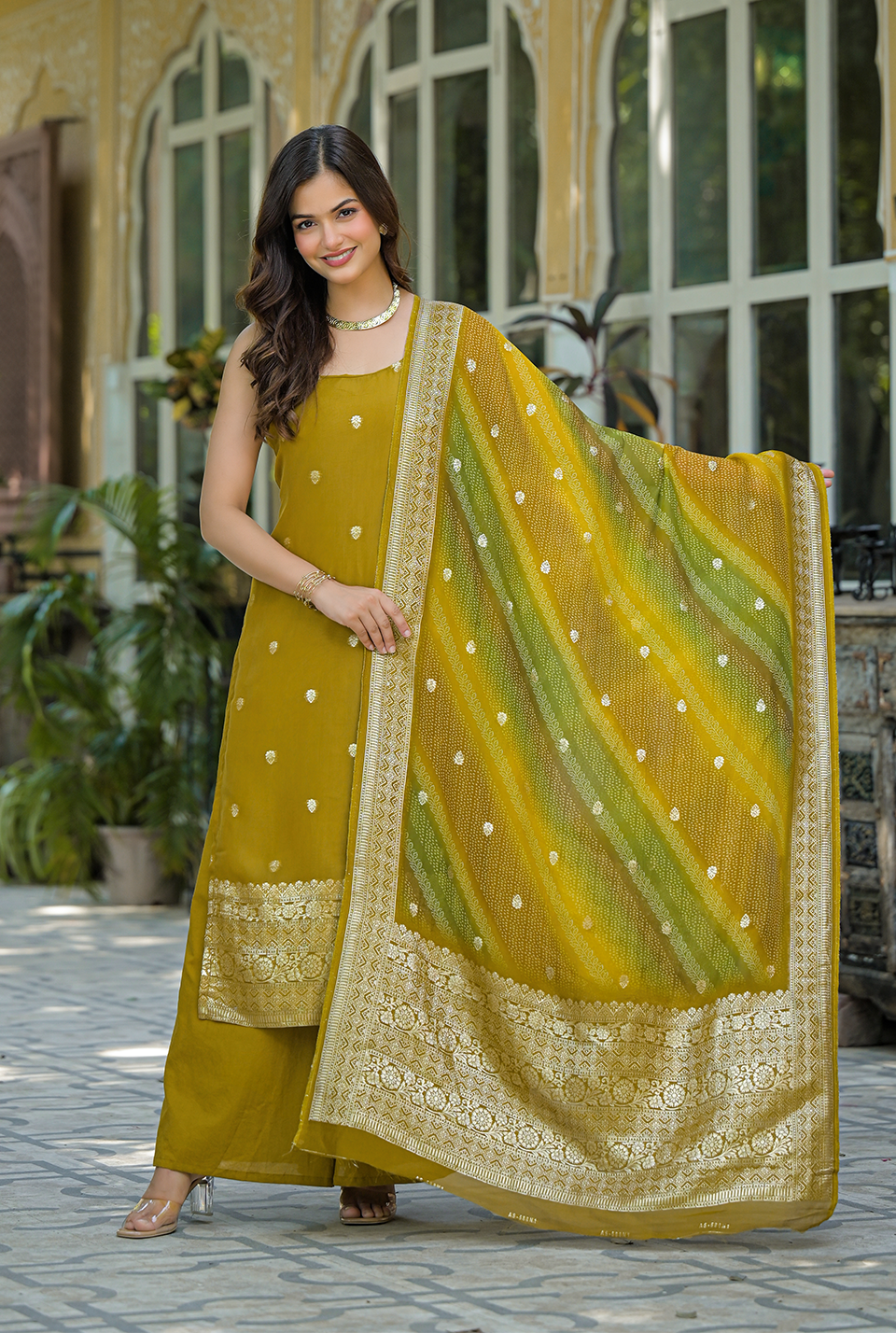 Tejas Organza suit set