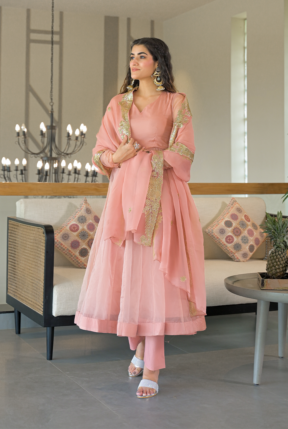 Sajani organza suit set